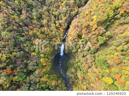 Aerial view of Miyagi Zao in autumn colors 120246920