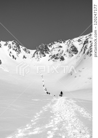 Climbers climbing Senjojiki Cirque, Kiso Komagatake mountain climbing tour in the remaining snow season, newspaper advertisement Climbers climbing Senjojiki Cirque, Kiso Komagatake mountain climbing tour in the remaining snow season, newspaper advertisement 120247177