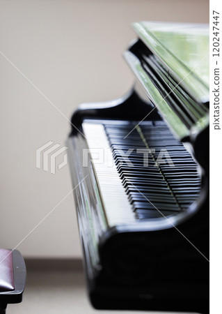 Piano keyboard 120247447