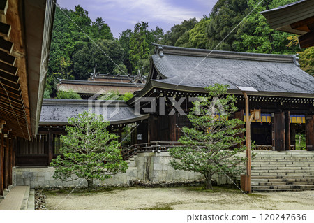 Otsu Omi Shrine, shrine building, Otsu City, Shiga Prefecture Otsu Omi Shrine, shrine building, Otsu City, Shiga Prefecture 120247636