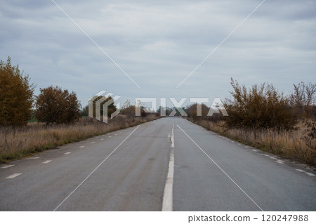 A Serene Autumn Roadway Surrounded by Sparse Foliage Under Overcast Skies 120247988