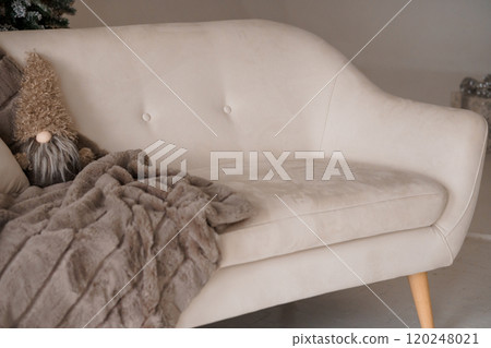 Cozy Modern Living Room with a Plush Sofa and Decorative Blanket 120248021