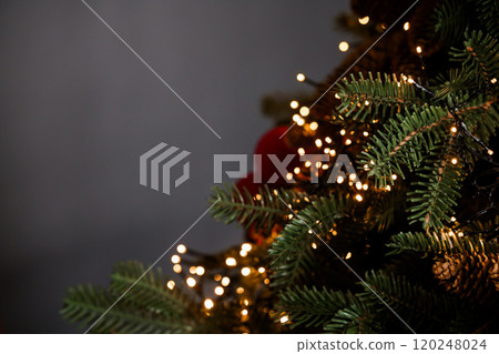 Enchanting Close-Up of Christmas Tree Decorated with Twinkling Lights and Natural Elements Enchanting Close-Up of Christmas Tree Decorated with Twinkling Lights and Natural Elements 120248024