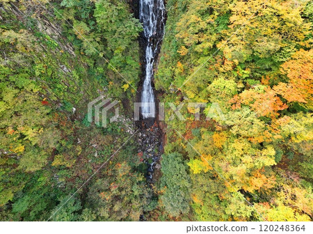 Aerial view of Miyagi Zao in autumn colors 120248364