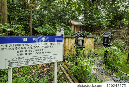 大津武部大社水神社 滋賀縣大津市 大津武部大社水神社 滋賀縣大津市 120248375
