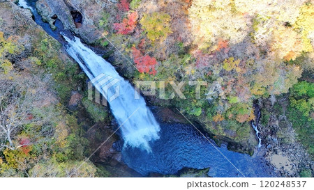 Aerial view of Akiu Falls with autumn leaves 120248537
