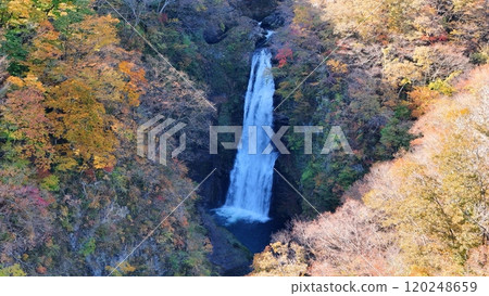 秋保大瀧瀑布秋葉鳥瞰圖 秋保大瀧瀑布秋葉鳥瞰圖 120248659