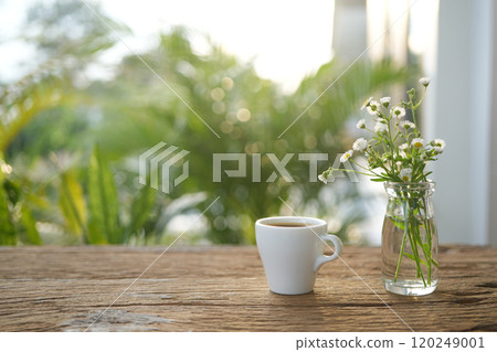 White coffee cup with daisy on wooden table under sunlight on wood table 120249001