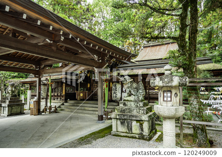 大津武部大社本堂/禦殿 滋賀縣大津市 大津武部大社本堂/禦殿 滋賀縣大津市 120249009