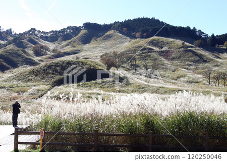 Autumn on the Tonomine Plateau (Kamikawa Town, Kanzaki District, Hyogo Prefecture) Autumn on the Tonomine Plateau (Kamikawa Town, Kanzaki District, Hyogo Prefecture) 120250046