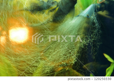 A mesmerizing display of bubbles and captivating light reflections in an aquatic scene 120250330