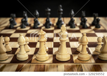 Wooden chess pieces wood Wooden chess pieces wood 120250552