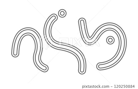 飛蚊症影像透明度 120250884