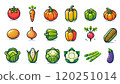 蔬菜組 120251014