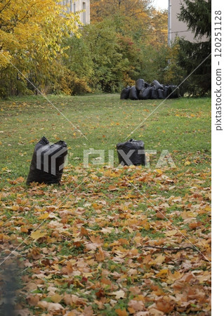 garbage in black plastic bags in garden, in yard. cleaning of house territory in autumn season garbage in black plastic bags in garden, in yard. cleaning of house territory in autumn season 120251128