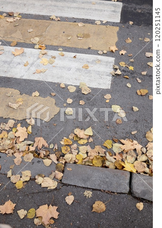outdated road markings and broken asphalt. pedestrian crossing top view. autumn leaves 120251145