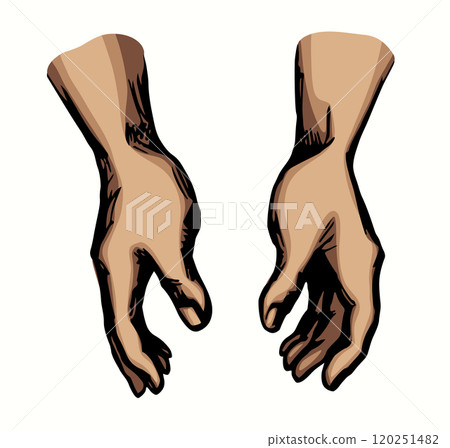 Young human hands. Vector drawing 120251482
