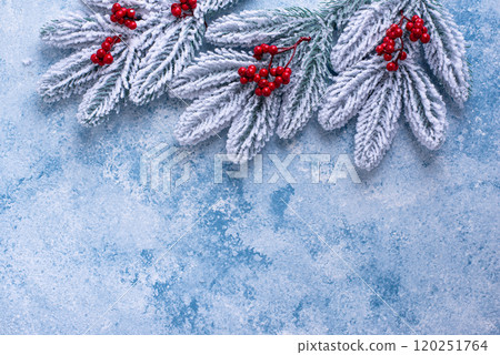 Christmas festive background with fir tree Christmas festive background with fir tree 120251764