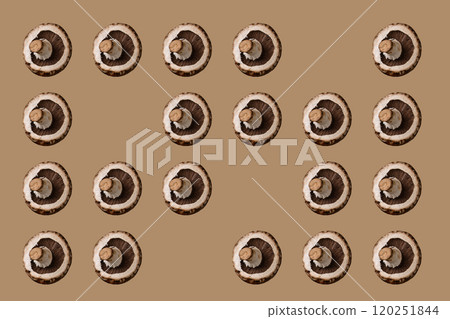 Raw uncooked champignon mushrooms isolated Raw uncooked champignon mushrooms isolated 120251844