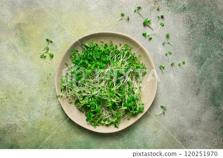 fresh micro-greenery, on a plate, top view, no people, 120251970