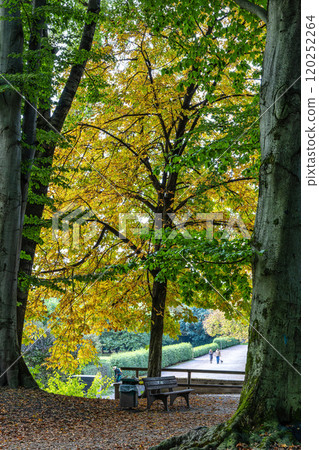 Golden autumn view in famous Munich relax place - Englischer Garten. Munich, Bavaria, Germany Golden autumn view in famous Munich relax place - Englischer Garten. Munich, Bavaria, Germany 120252264