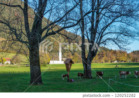 Church of St. Leonhard in Fischhausen at Lake Schliersee, Upper Bavaria, Bavaria, Germany Church of St. Leonhard in Fischhausen at Lake Schliersee, Upper Bavaria, Bavaria, Germany 120252282