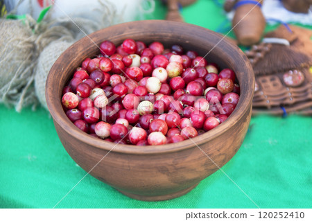 Cranberries in a clay pot Cranberries in a clay pot 120252410