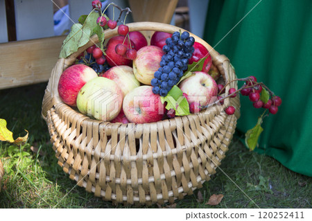 Autumn fruits in the basket. Autumn fruits in the basket. 120252411