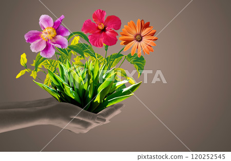 Woman holding plants and flowers. Concept of home garden and saving planet. Spring time. Taking care of home plants. 120252545