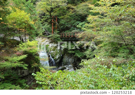 [Tenkawa Village, Nara Prefecture] Mitarai Valley Walking Course 120253218