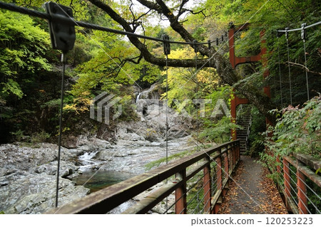[奈良縣天川村]御手洗溪谷散步路線 120253223