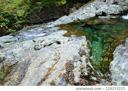 [Tenkawa Village, Nara Prefecture] Mitarai Valley Walking Course 120253225