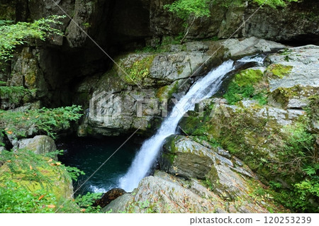 [奈良縣天川村]御手洗溪谷散步路線 120253239