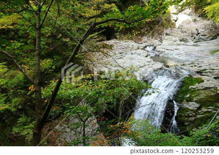 [Tenkawa Village, Nara Prefecture] Mitarai Valley Walking Course 120253259