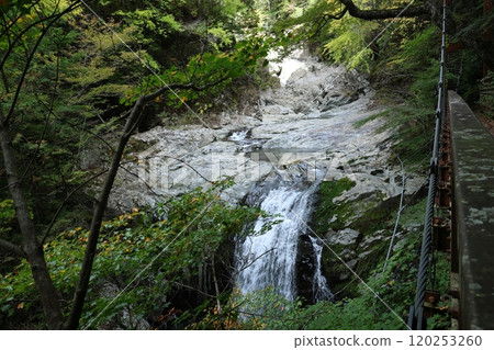 [Tenkawa Village, Nara Prefecture] Mitarai Valley Walking Course 120253260