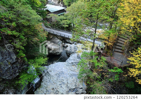 [Tenkawa Village, Nara Prefecture] Mitarai Valley Walking Course 120253264