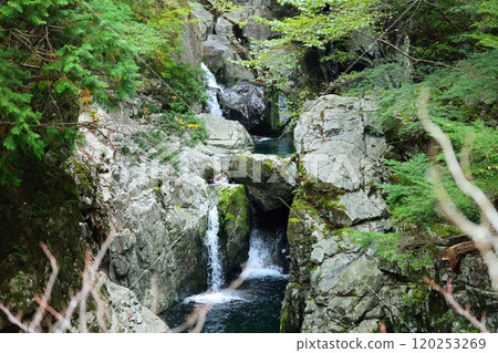 [奈良縣天川村]御手洗溪谷散步路線 120253269