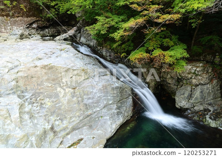 [Tenkawa Village, Nara Prefecture] Mitarai Valley Walking Course 120253271