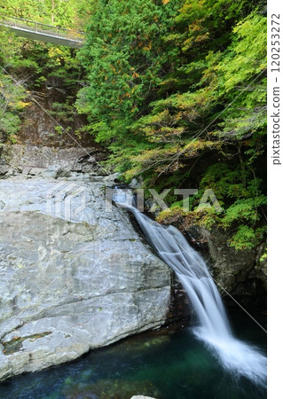 [Tenkawa Village, Nara Prefecture] Mitarai Valley Walking Course 120253272