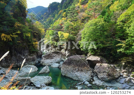 [奈良縣天川村]御手洗溪谷散步路線 120253274
