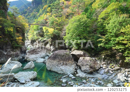 [奈良縣天川村]御手洗溪谷散步路線 120253275