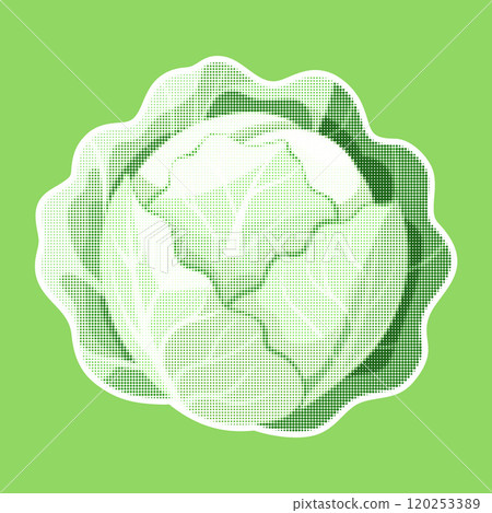 Cabbage. Trendy halftone style retro texture. Vintage pop art style, modern collage element 120253389