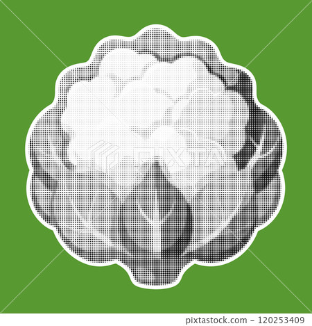 Cauliflower. Trendy halftone style retro black and white dotted texture. Vintage pop art collage element Cauliflower. Trendy halftone style retro black and white dotted texture. Vintage pop art collage element 120253409