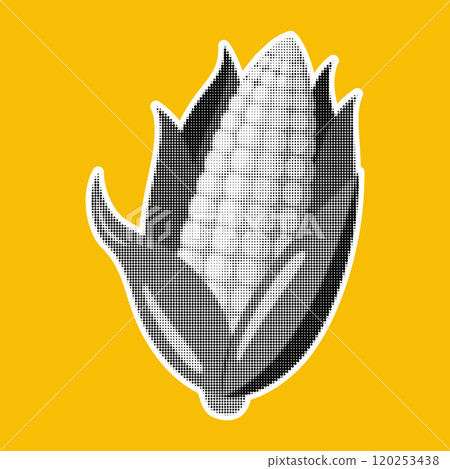 Corn. Trendy halftone style retro black and white dotted texture. Vintage pop art collage element 120253438