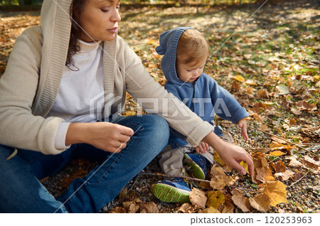 Mother and child exploring autumn leaves in the park together 120253963
