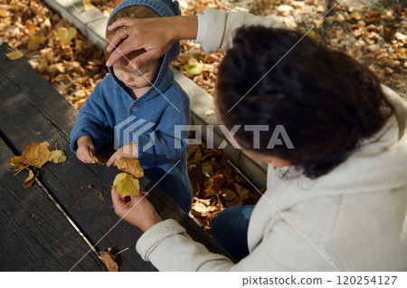 Mother and child enjoying autumn leaves together in park 120254127