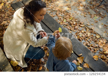 Mother and child enjoying autumn leaves in the park Mother and child enjoying autumn leaves in the park 120254134