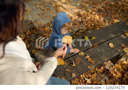 Mother and child enjoying autumn leaves on a park bench 120254175