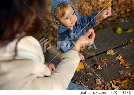 Mother and child enjoying autumn leaves at a wooden table 120254178