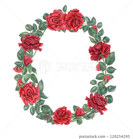 Oval wreath with rose branches in modern style. Blooming dark red flowers, buds, leaves watercolor illustration with copy space for text. Floral template for wedding invitation, birthday greeting card 120254295
